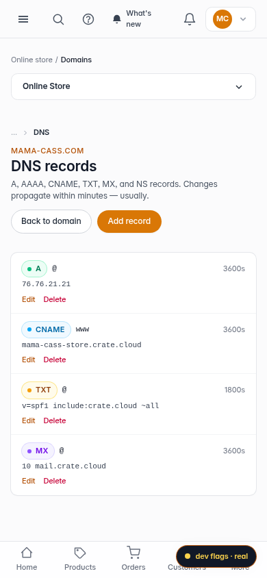 Edit a DNS record: step 2 (mobile)