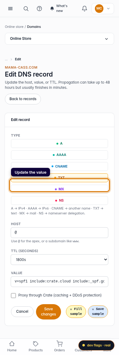 Edit a DNS record: step 4 (mobile)